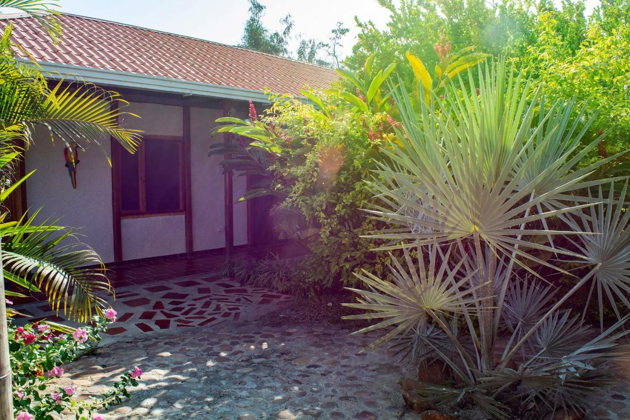 Hostal El Ruby Villavieja Kültér fotó